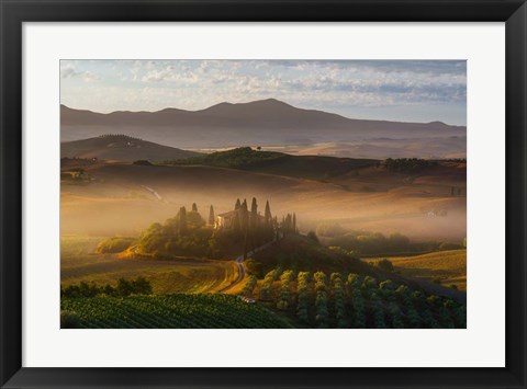 Framed Il Belvedere Print