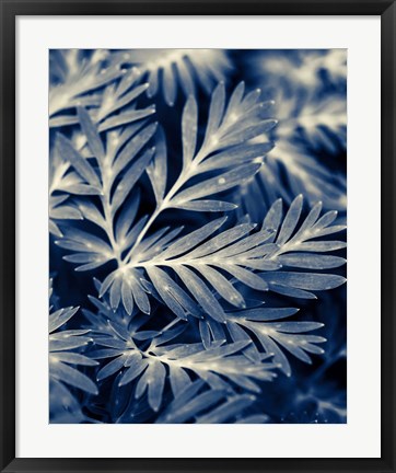 Framed Navy Blue Leaves Print