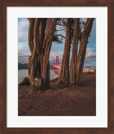 Framed Between the Trees Print