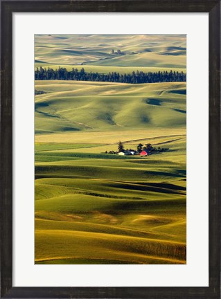 Framed Palouse #27 Print