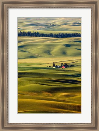 Framed Palouse #27 Print