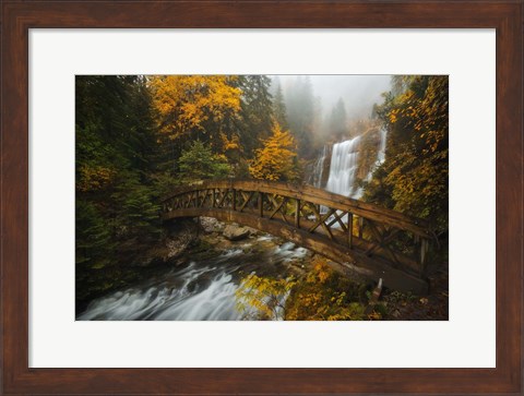 Framed Bridge in the Forest Print