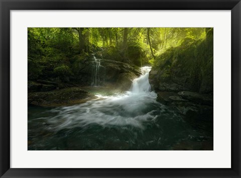 Framed Stream of Life Print