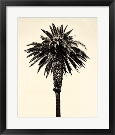 Framed Palm Tree 1996 (Tan) Print