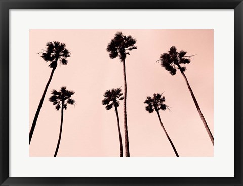 Framed Palm Trees 1997 Copper Print