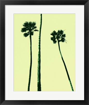 Framed Palm Trees 2000 (Cyan) Print