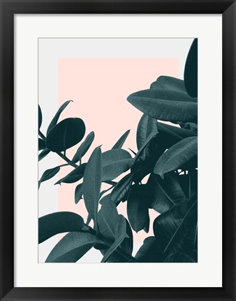 Framed Imagine Print