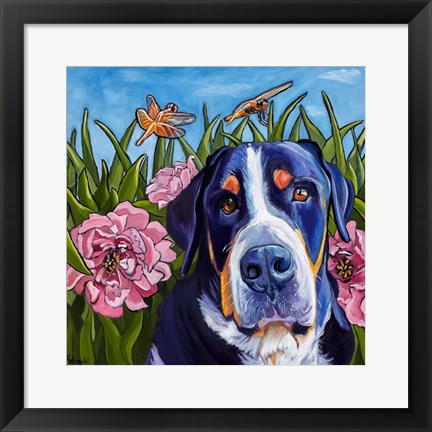 Framed Dog and Dragonflies Print