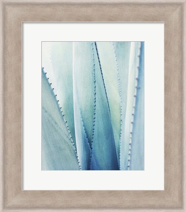 Framed Pale Blue Agave No. 1 Print