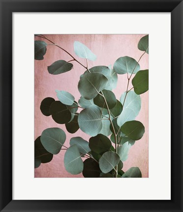 Framed Sage Eucalyptus No. 1 Print