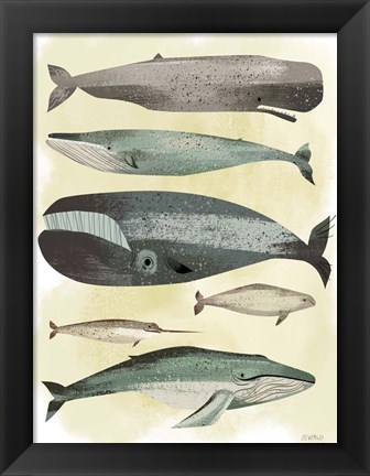 Framed Whales Print