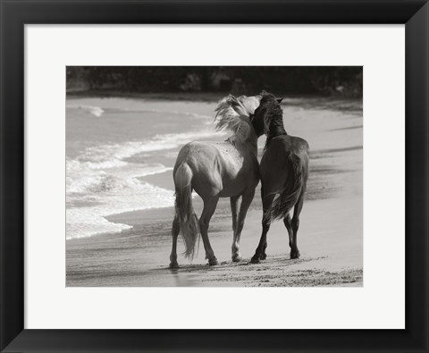 Framed Young Mustangs on Beach Print