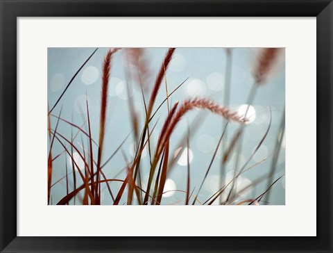 Framed By the Chicago River No. 3 Print