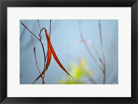 Framed Red and Green by the River Print