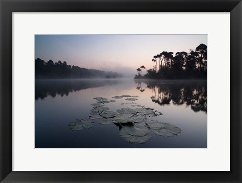 Framed Oisterwijkse Vennen Print