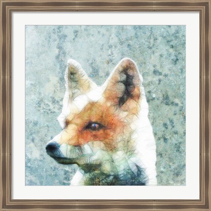 Framed Abstract Fox Print