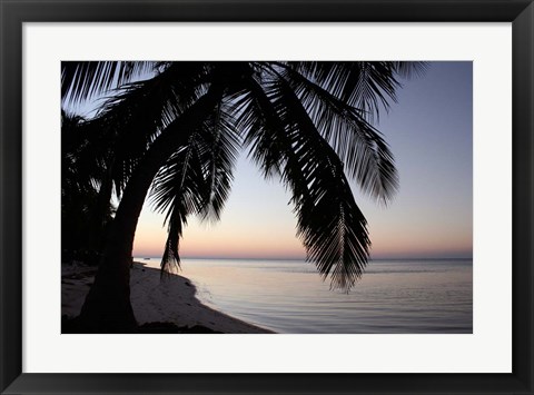 Framed Palm Tree Sunset Print