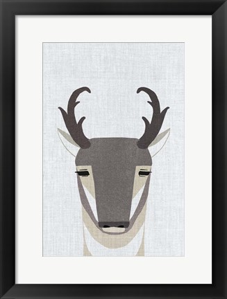 Framed Pronghorn Antelope Print