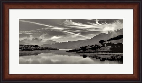 Framed Cirrus Print