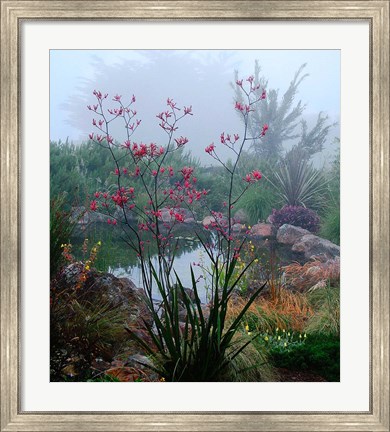 Framed Scarlet Print