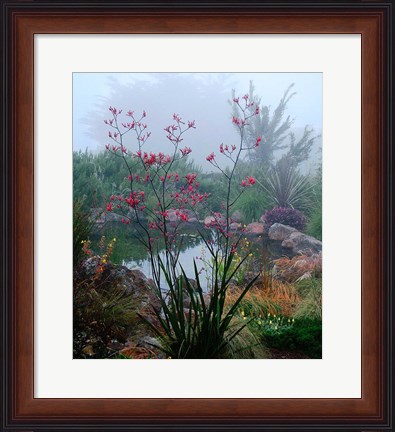 Framed Scarlet Print