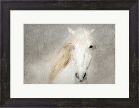 Framed Stallion Face Print