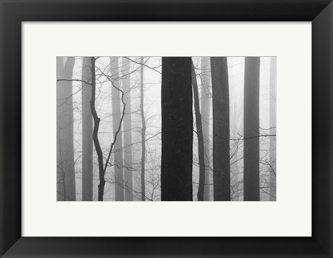 Framed Forest Code Print