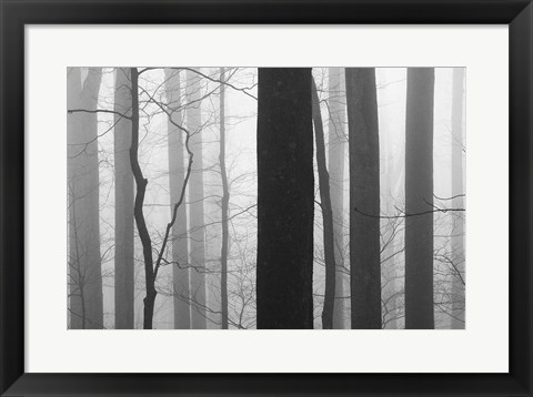 Framed Forest Code Print