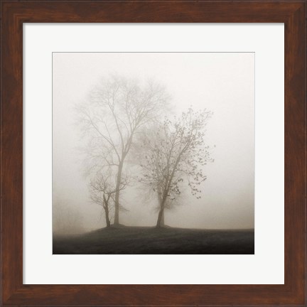 Framed Four Trees in Fog Print