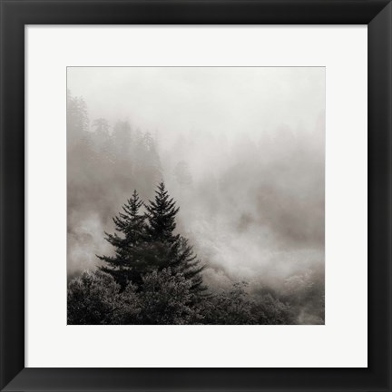 Framed Rising Mist, Smoky Mountains Print