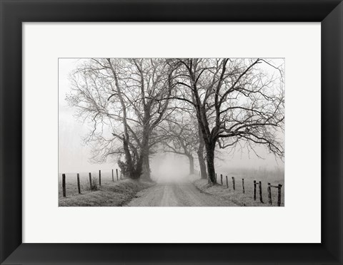 Framed Sparks Lane, Late Autumn Print