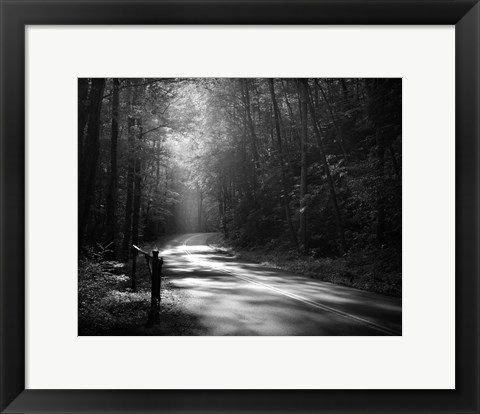 Framed Tremont Road, Smoky Mountains Print