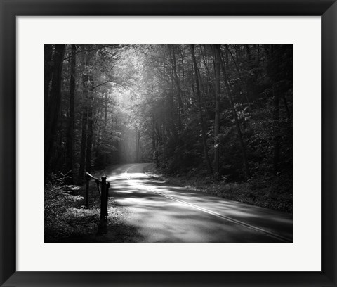 Framed Tremont Road, Smoky Mountains Print