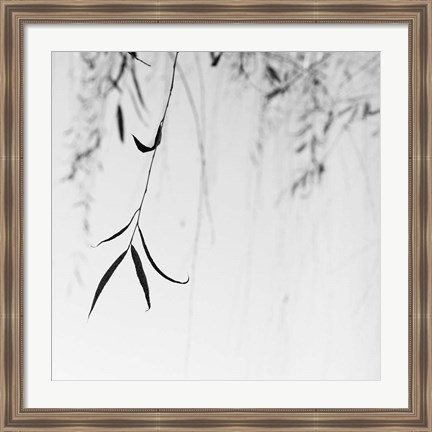 Framed Willow Print No. 1 Print