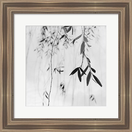 Framed Willow Print No. 3 Print