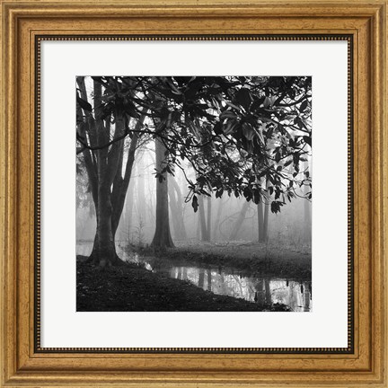 Framed Woodland No. 1 Print