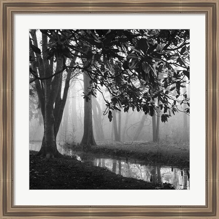 Framed Woodland No. 1 Print