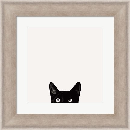 Framed Curiosity Print