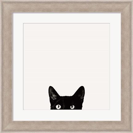 Framed Curiosity Print