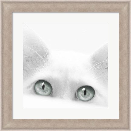 Framed Diva Print