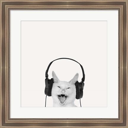 Framed Rockin&#39; Kitten Print