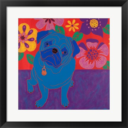 Framed Perspicacious Pug Print