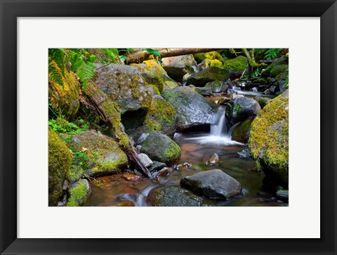 Framed Mossy Stream Print