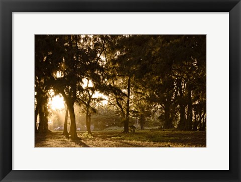 Framed Daybreak Print