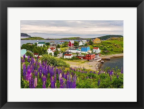 Framed Outport Print