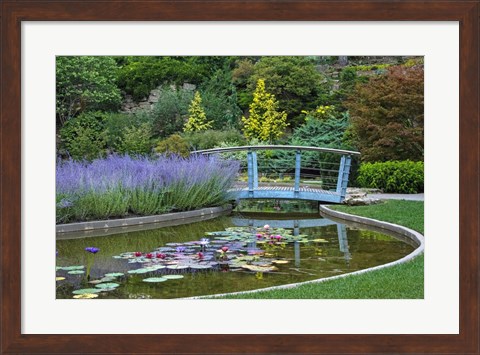 Framed Serenity Print