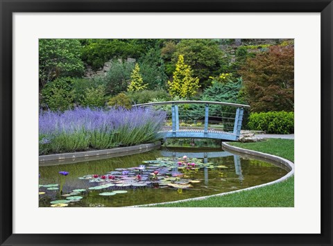 Framed Serenity Print