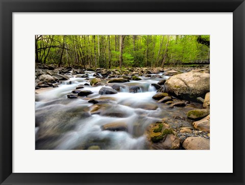 Framed Below the Bridge Print