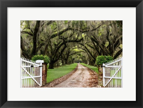 Framed Plantation Road Print