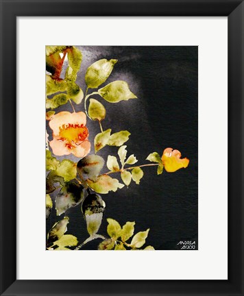 Framed Roses on Black Print